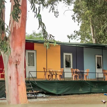 Patara Woody Hostel & Camping Kültér fotó