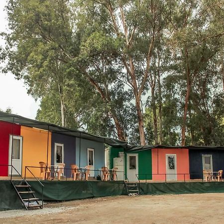 Patara Woody Hostel & Camping Kültér fotó