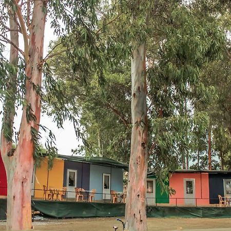 Patara Woody Hostel & Camping Kültér fotó