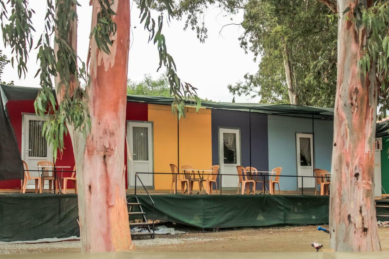 Patara Woody Hostel & Camping Kültér fotó