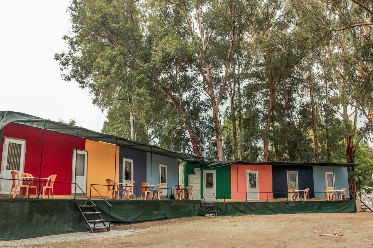 Patara Woody Hostel & Camping Kültér fotó