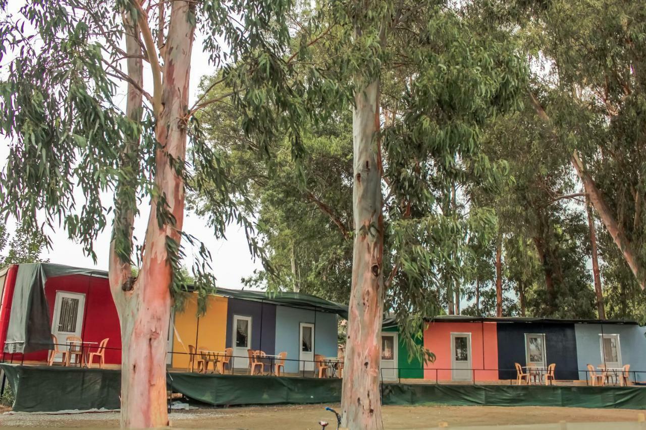 Patara Woody Hostel & Camping Kültér fotó