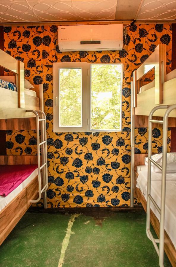 Patara Woody Hostel & Camping Kültér fotó